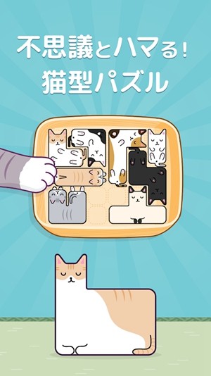 猫猫盒
