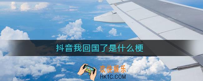 抖音我回国了是什么梗