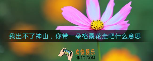 我出不了神山，你带一朵格桑花走吧什么意思