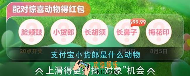 支付宝小货郎是什么动物