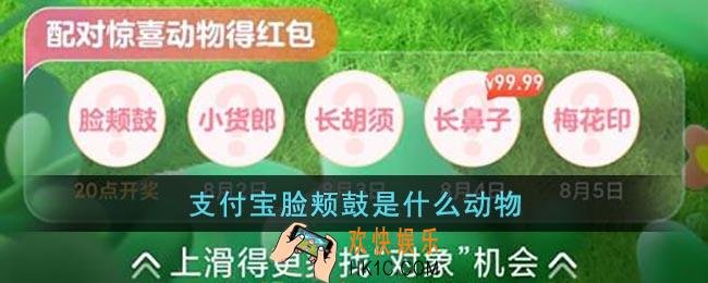 支付宝脸颊鼓是什么动物