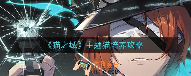 猫之城主题猫怎么养