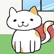 我的猫咪在哪儿？