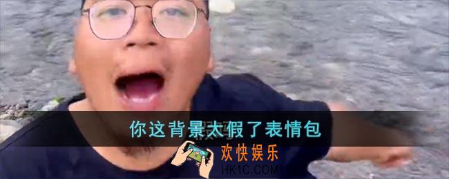 你这背景太假了表情包