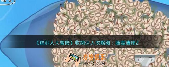 抖音脑洞人大冒险收纳达人藤壶清理2怎么过