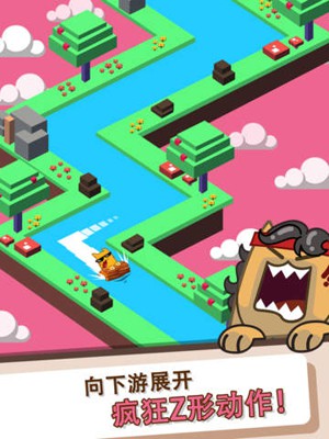 惹人注目的猫猫