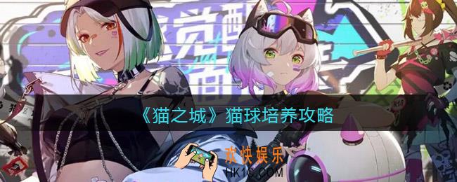 猫之城猫球怎么培养_猫球培养攻略