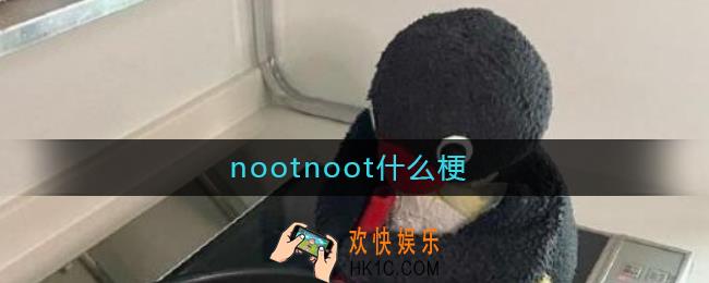 nootnoot什么梗_nootnoot什么意思