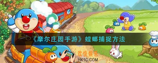 摩尔庄园手游螳螂怎么抓_螳螂捕捉方法