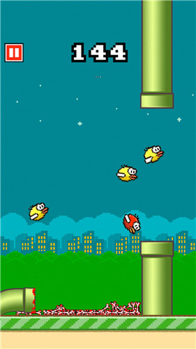 飞行终结：粉碎小鸟