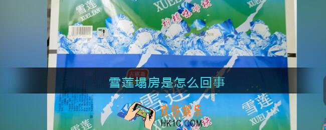 雪莲塌房是怎么回事_雪莲雪糕事件