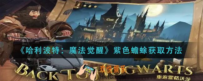 哈利波特魔法觉醒紫色蟾蜍怎么获得_紫色蟾蜍获取方法