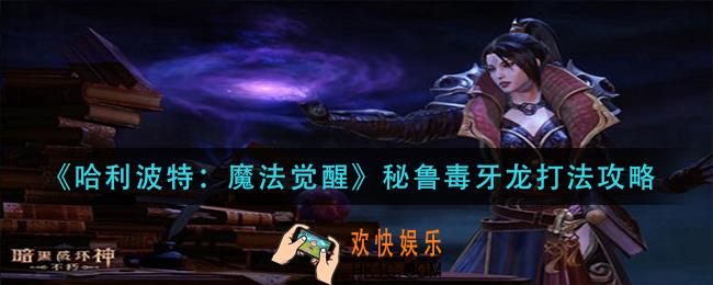 暗黑破坏神不朽魔法师传奇装备怎么搭配_魔法师传奇装备推荐