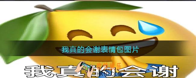 我真的会谢表情包图片_我真的会谢表情包什么意思