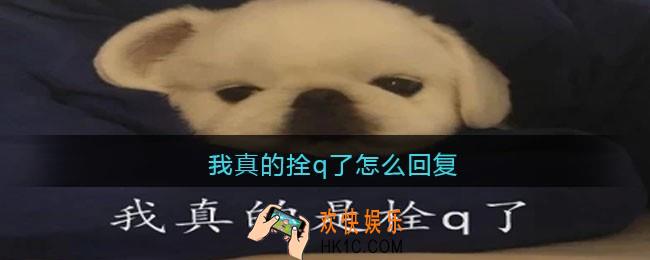 我真的拴q了怎么回复_我真的拴q了回复方法