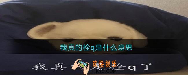 我真的栓q是什么意思_我真的会谢是什么梗