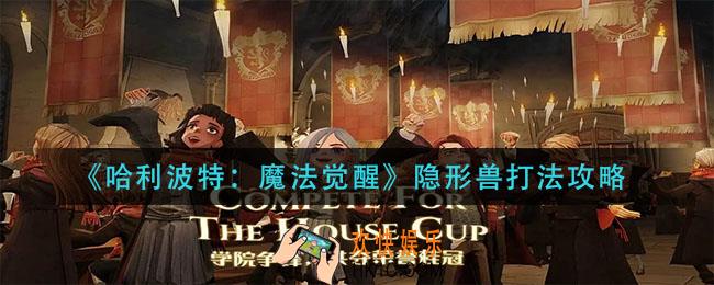 哈利波特魔法觉醒隐形兽怎么打_隐形兽打法攻略