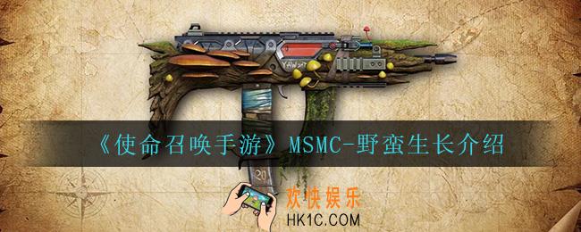 使命召唤手游MSMC
