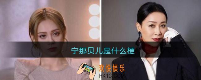 宁那贝儿是什么梗/意思_宁那贝儿含义出处