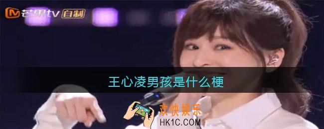 王心凌男孩是什么梗_王心凌男孩是什么意思