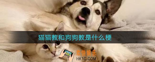 圣火喵喵教_皓月狗狗教