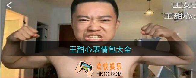 王甜心表情包大全_王甜心表情包图片下载