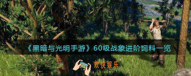 黑暗与光明手游战象进阶饲料是什么_60级宠物驯养所需材料