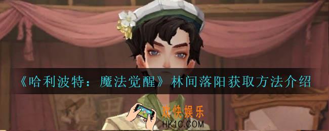 哈利波特魔法觉醒林间落阳帽子怎么获得_林间落阳获取方法介绍