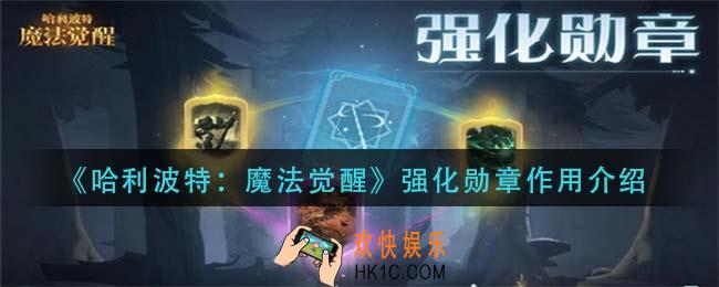 哈利波特魔法觉醒强化勋章有什么用_强化勋章作用介绍