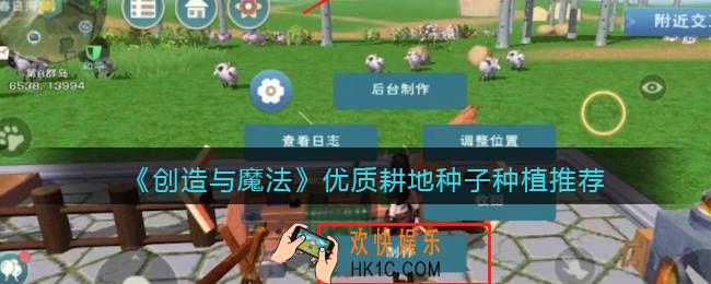 创造与魔法优质耕地中什么比较好_优质耕地种子种植推荐