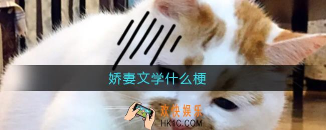 娇妻文学什么梗_娇妻文学