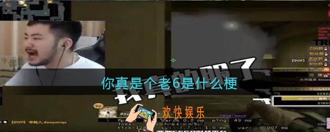 你真是个老6什么梗_你真是个老6什么意思