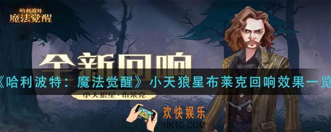 哈利波特魔法觉醒小天狼星布莱克回响怎么样_小天狼星布莱克回响效果一览