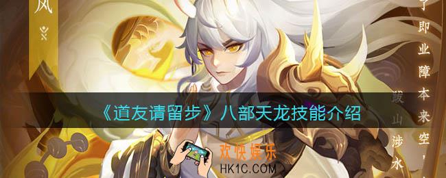 道友请留步八部天龙技能怎么样_八部天龙技能介绍