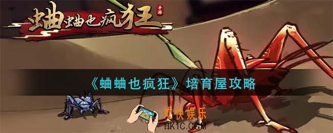 蛐蛐也疯狂培育屋怎么玩_培育屋攻略
