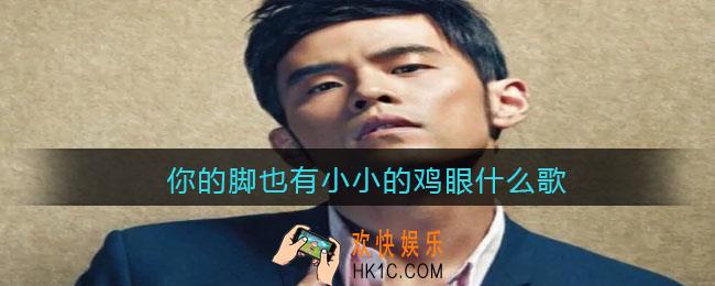 你的脚也有小小的鸡眼什么歌_你的脚也有小小的鸡眼歌词歌曲分享