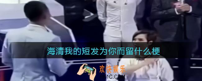 海清我的短发为你而留是什么梗/意思_抖音热梗含义出处分享