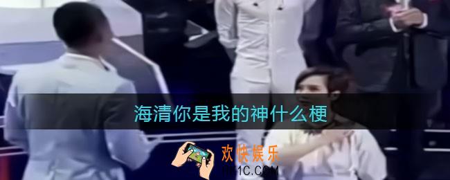 海清你是我的神是什么梗/意思_抖音热梗含义出处分享