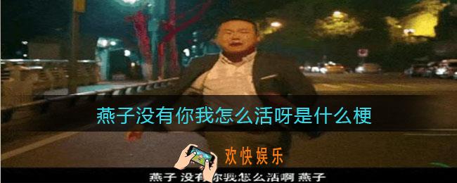 燕子没有你我怎么活呀是什么梗/意思_抖音热梗含义出处分享