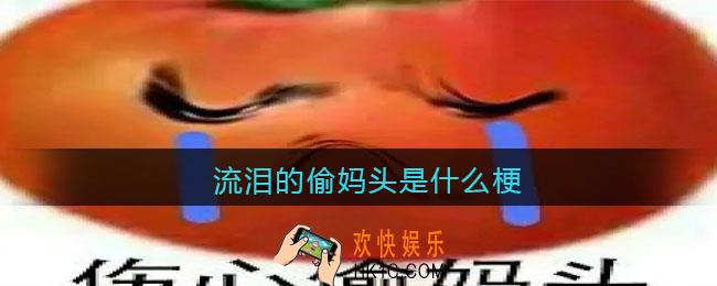 流泪的偷妈头是什么梗/意思_抖音热梗含义出处分享