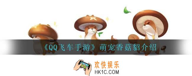 qq飞车手游萌宠香菇貂怎么样_萌宠香菇貂介绍