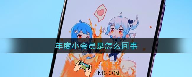 年度小会员是什么_b站年度小会员