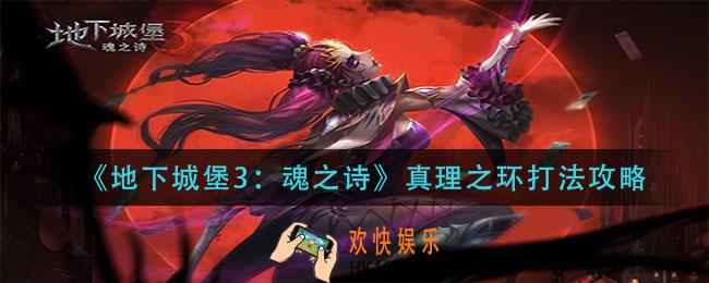地下城堡3魂之诗真理之环怎么打_真理之环打法攻略
