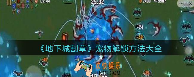 抖音地下城割草宠物怎么解锁_宠物解锁方法大全