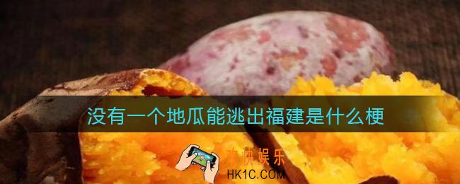 没有一个地瓜能逃出福建是什么梗/意思_热梗含义出处