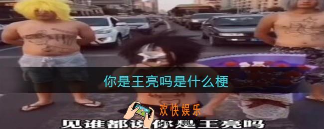 你是王亮吗是什么梗/意思_热梗含义出处