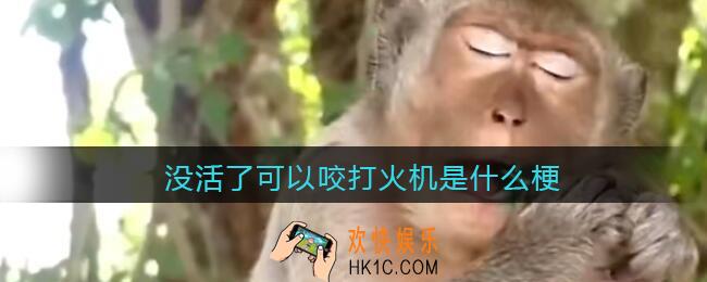 没活了可以咬打火机是什么梗_抖音没活了可以咬打火机是什么意思含义出处