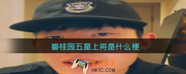 碧桂园五星上将是什么梗_碧桂园五星上将是什么意思含义出处
