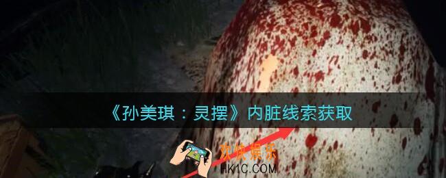 孙美琪疑案灵摆攻略内脏在哪里_内脏线索获取方法位置