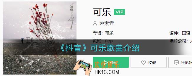 可能是我的爱情它来的太晚了是什么歌_可乐歌曲歌词试听地址